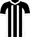Angers SCO Club
