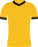 Dynamo Dresden Club
