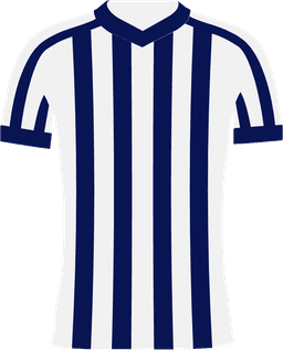 West Bromwich Albion West Bromwich Albion