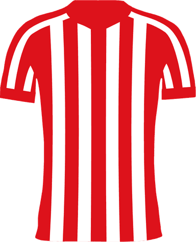 Sunderland AFC items