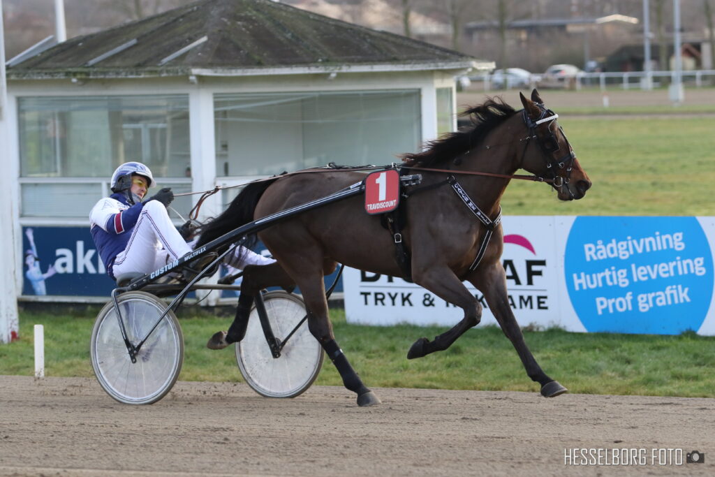 Catch_Me_Will_fotograf_Hesselborg_Foto