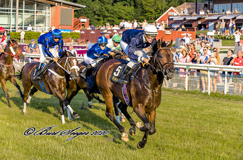 Frankells_Kiss_fotograf_Burt_Seeger