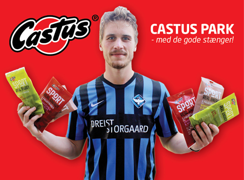 artikel_castuspark_ludwig_1