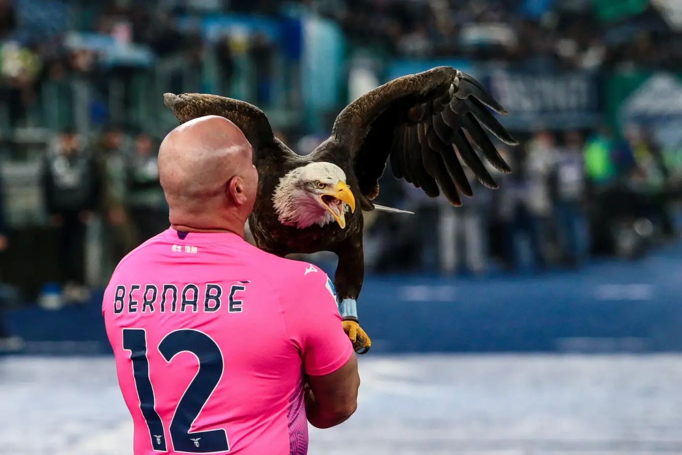 Lazio fyrer falkoner efter penisbilleder | Tipsbladet.dk