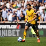 Odds og spilforslag til tirsdagens Premier League-match mellem Crystal Palace og Wolverhampton