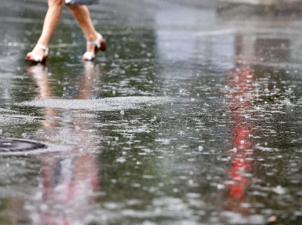 Optakt til torsdagens Europa League-match mellem Lille og Røde Stjerne