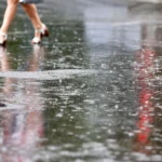 Optakt til torsdagens Europa League-match mellem Lille og Røde Stjerne