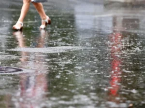 Optakt til torsdagens Europa League-match mellem Lille og Røde Stjerne